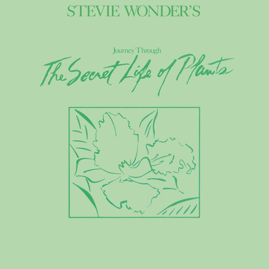 Stevie Wonder - Journey Through the Secret Life of Plants